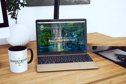 desarrollo wordpress playa del carmen