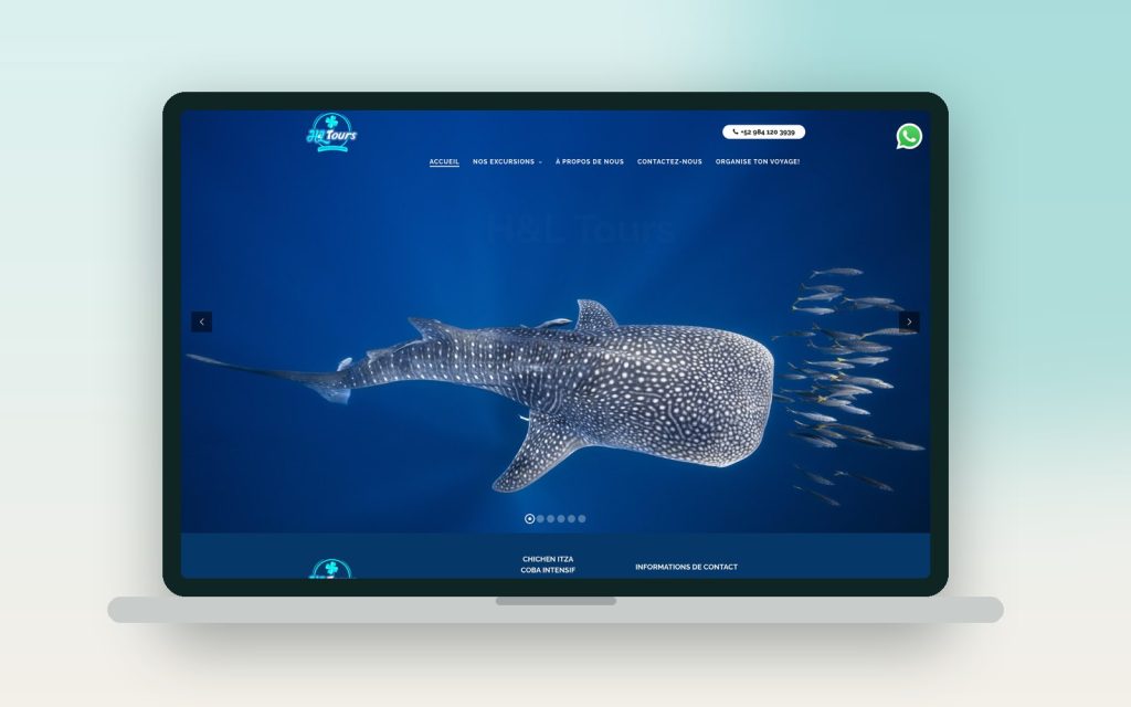 H&L Tours – vista del sitio web