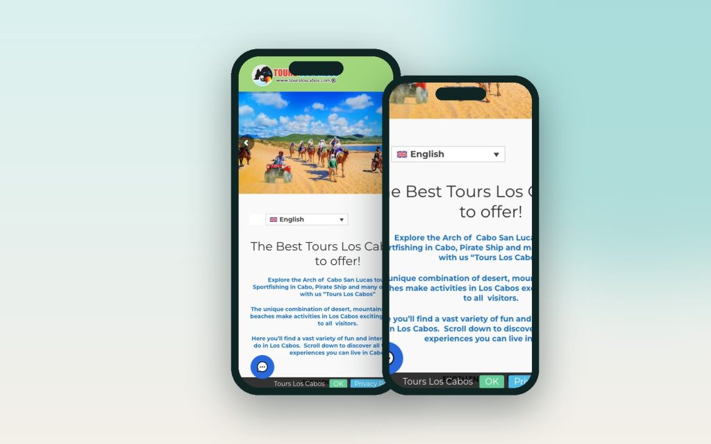 Tours Los Cabos – vista del sitio web