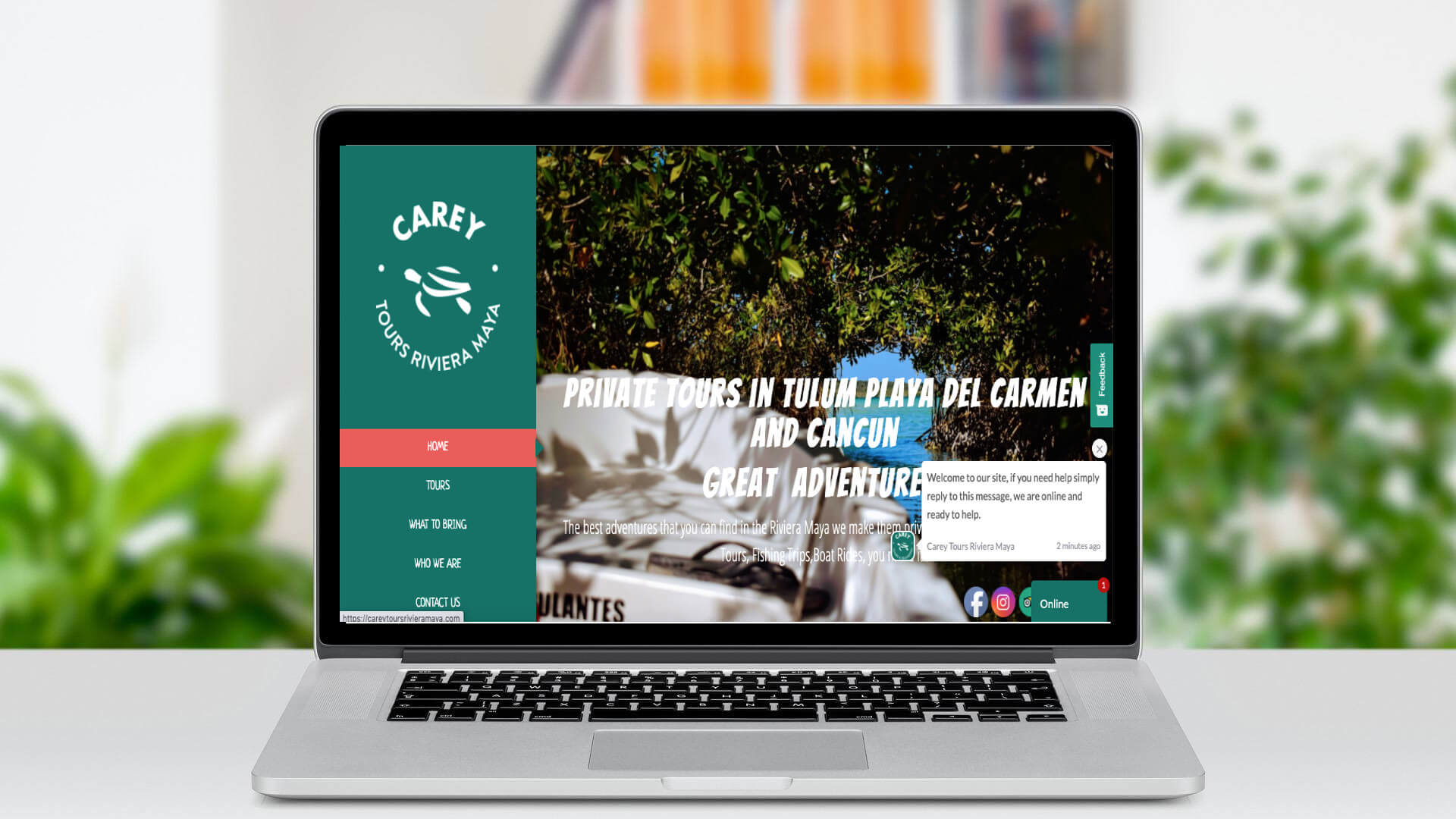 Páginas Web Playa del Carmen Diseño Web Mexico