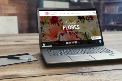 Diseño Web Playa del Carmen Páginas Web