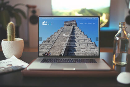 Páginas Web Playa del Carmen Diseño Web Mexico