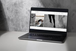 Paginas web playa del carmen