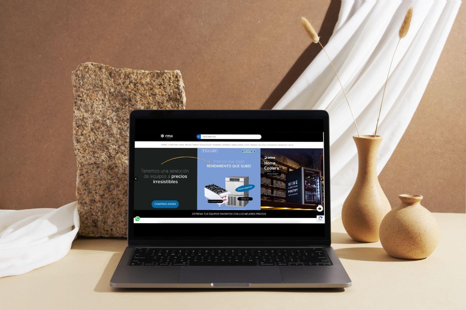 Paginas web playa del carmen