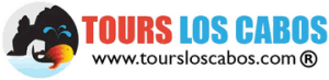 Logo de Tours Los Cabos, cliente de Kaanah Solutions